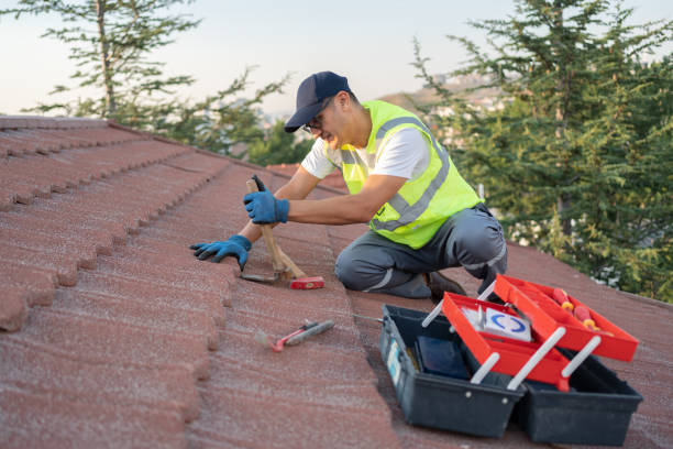 Best Best Roofing Contractors  in Scotts Hill, TN