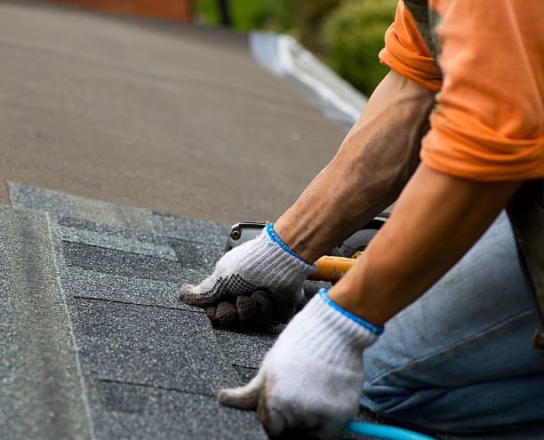 Best Roof Gutter Cleaning  in Scotts Hill, TN