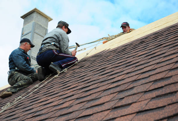 Best Gutter Installation and Roofing  in Scotts Hill, TN