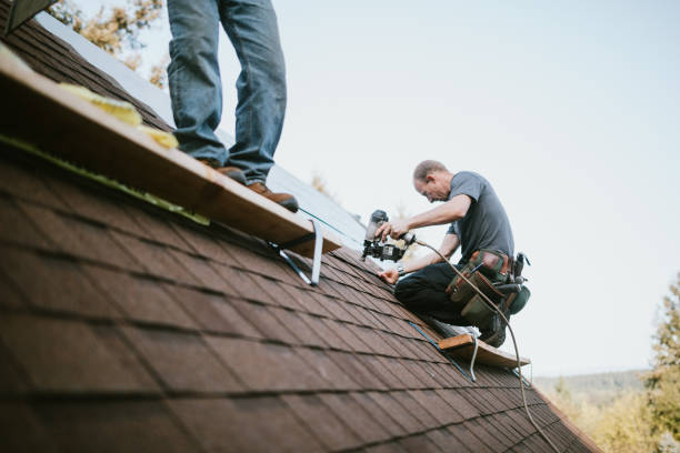 Quick and Trustworthy Emergency Roof Repair Services in Scotts Hill, TN